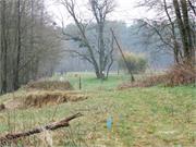 DSCF1662