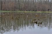 DSC_6007-74