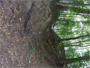 DSCF2172