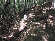 DSCF2179