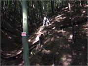 DSCF2181