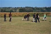 DSC_0015_1024x685
