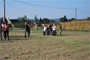 DSC_0022_1024x685