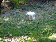 DSCF2269