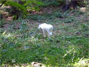 DSCF2270