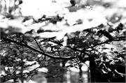 DSC_0984-2