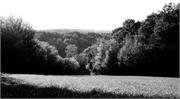 DSC_1034-2