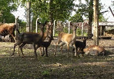 P1010919-01.jpg