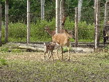 P1010949-01.jpg