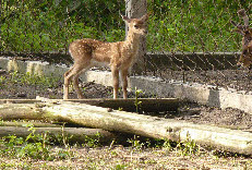 P1010909-01.jpg