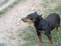 2004.05.15. 17_17_0001.jpg