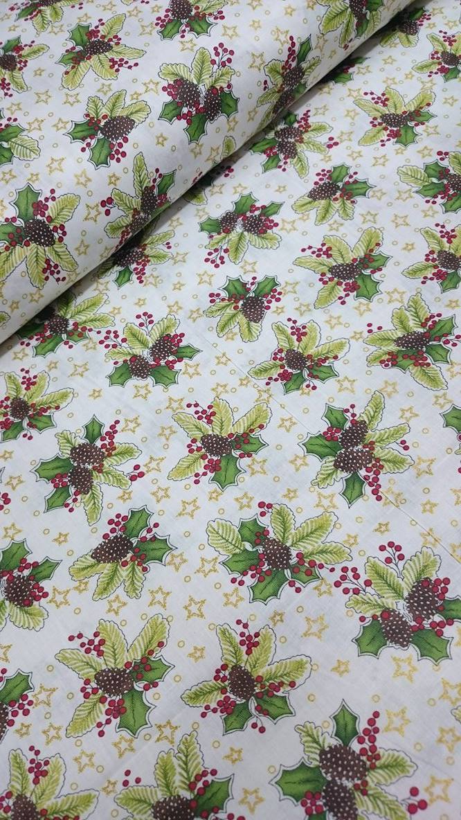 14408269 1177050449019286 2004735549 O