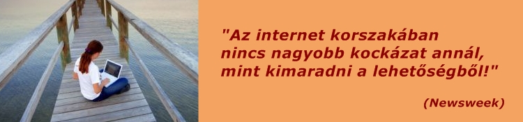 internetes munka