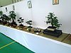 P6110087.JPG