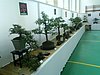P6110088.JPG