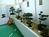 P6110089.JPG