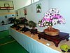 P6110101.JPG