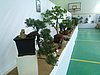P6110106.JPG