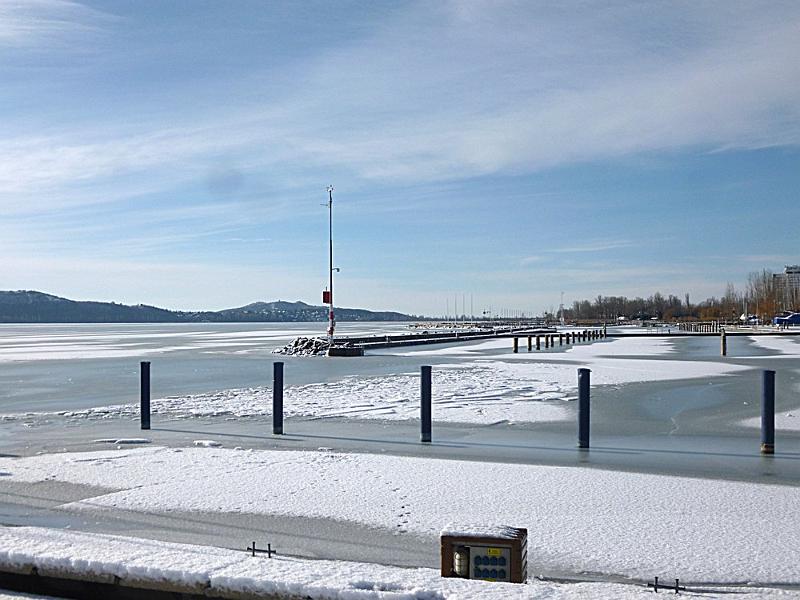 P1100184.JPG
