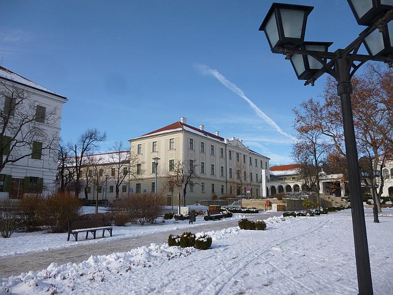 P1100203.JPG