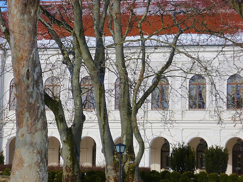 P1100207.JPG