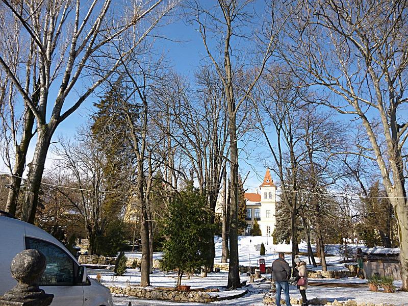 P1100226.JPG
