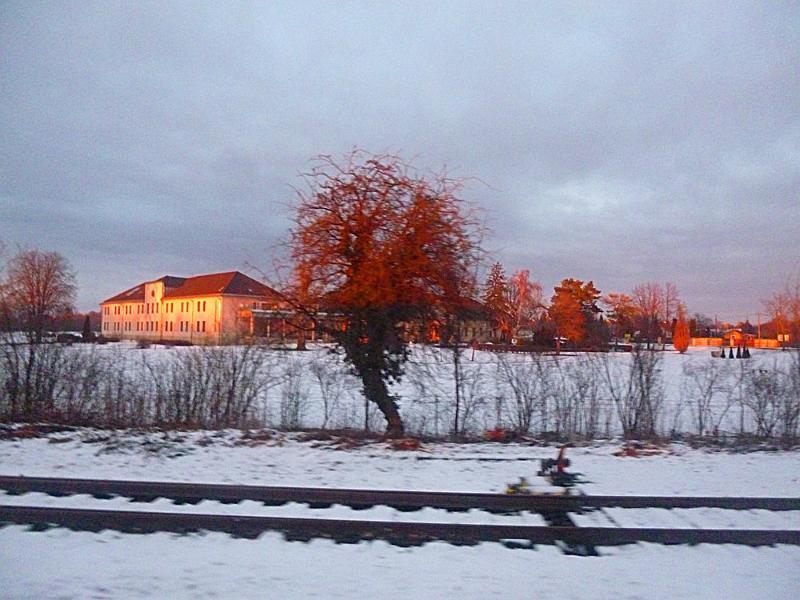 P1100234.JPG