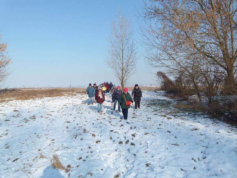 L1380655.JPG