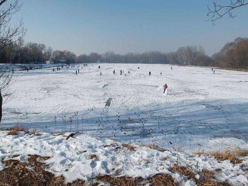 L1380674.JPG