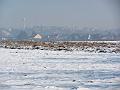 IMG_2713-1
