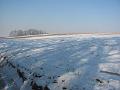 IMG_2718-1