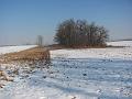 IMG_2725-1
