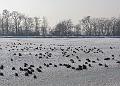 IMG_2780-1