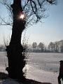 IMG_2794-1
