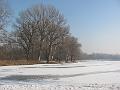 IMG_2800-1