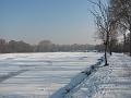 IMG_2802-1