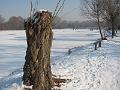 IMG_2806-1