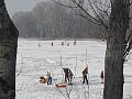 IMG_2816-1
