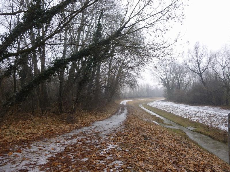 P1100344.JPG