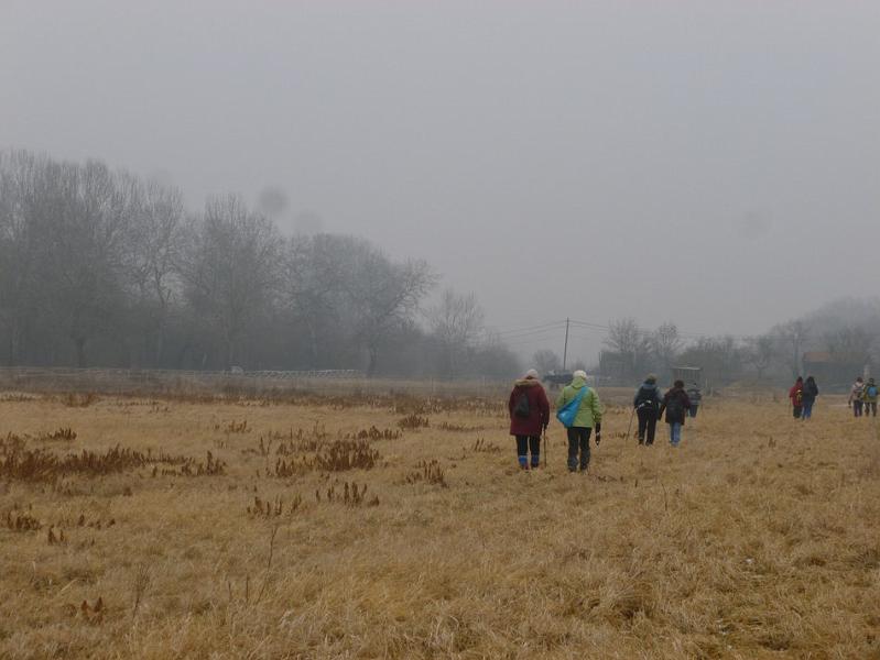 P1100347.JPG