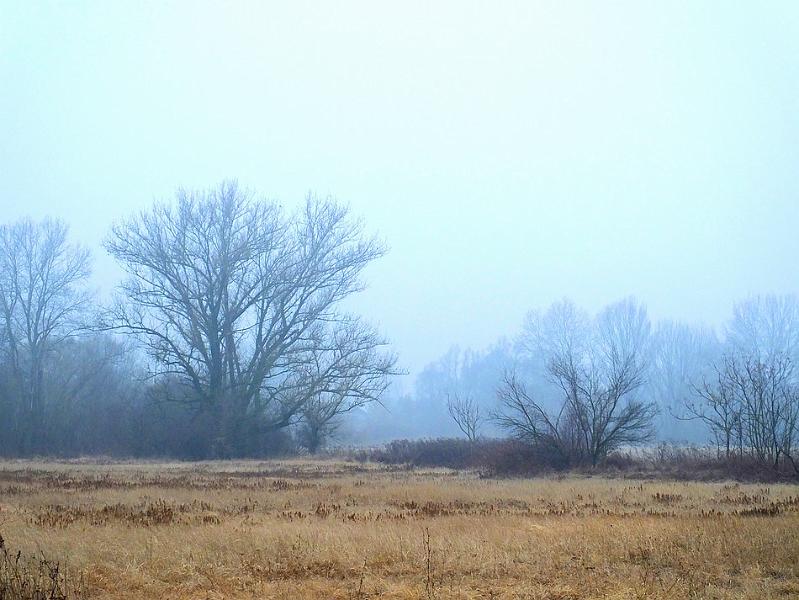 DSCF0016.JPG
