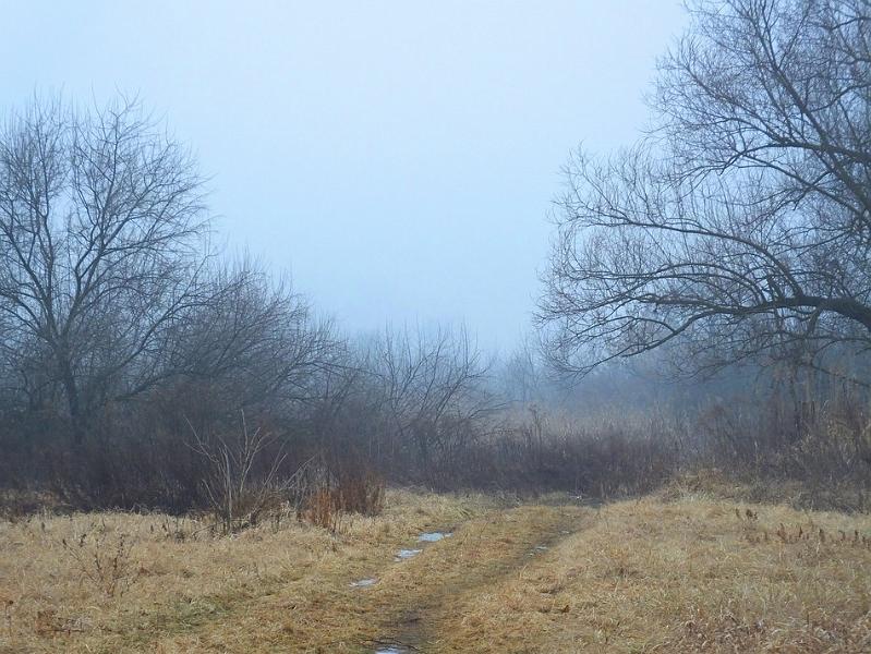 DSCF0017.JPG