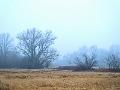 DSCF0016