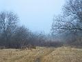DSCF0017