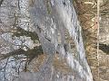 IMG_2901-1