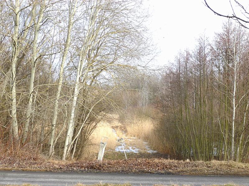 P1100411.JPG