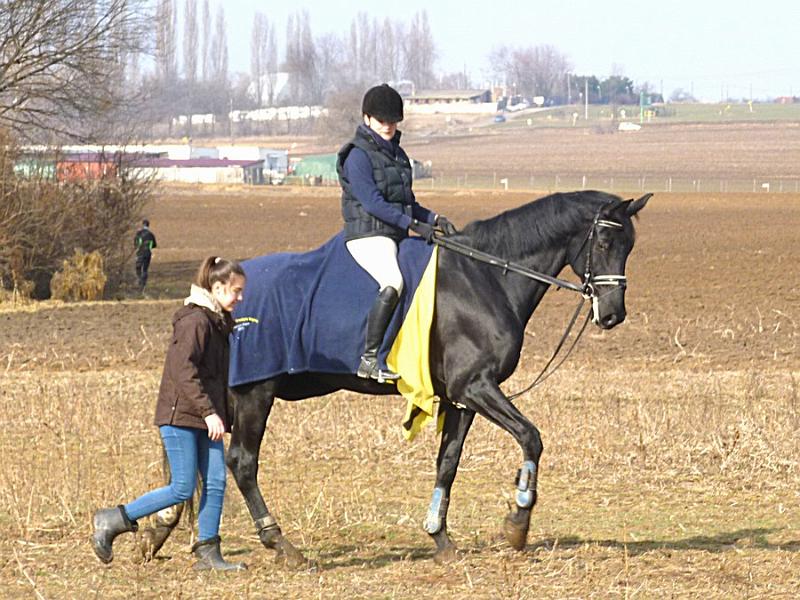 P1100429.JPG