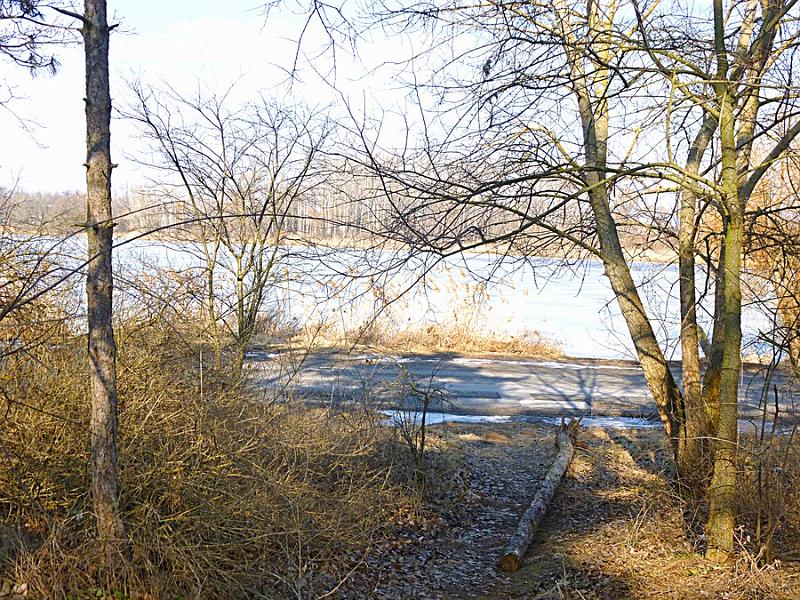 P1100437.JPG
