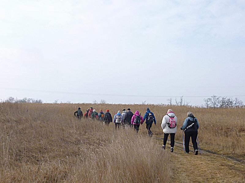 P1100518.JPG