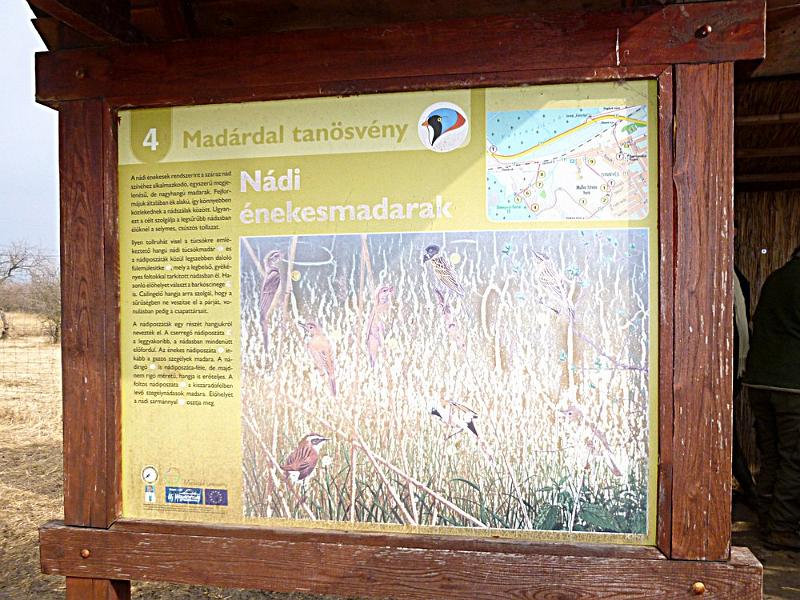 P1100527.JPG